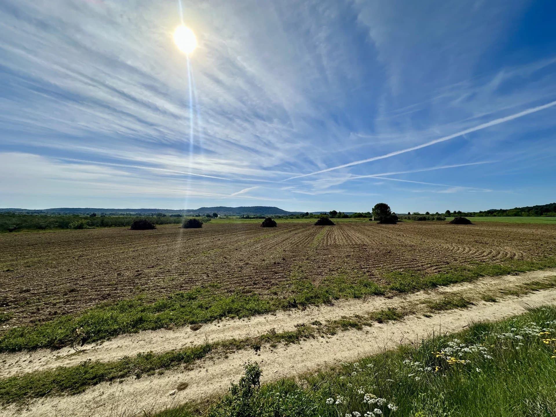 TERRAIN DE 14520 M2